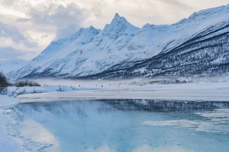 Alps lyngen