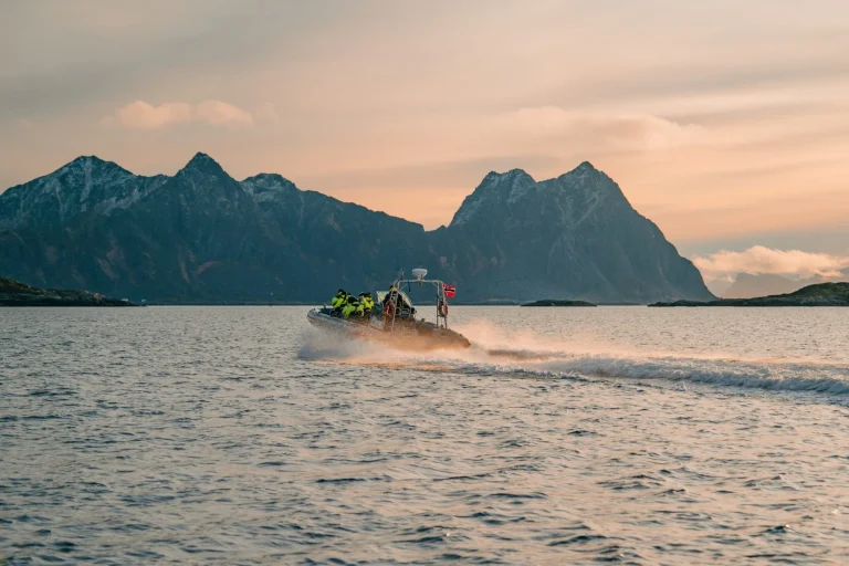 Fjordsafari