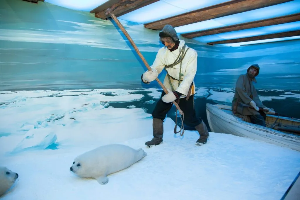 Polar museum
