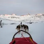 View from sledge